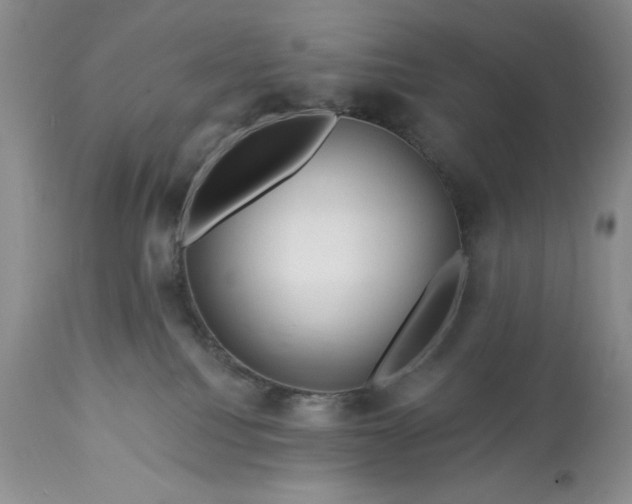 X0000113580088200910021703