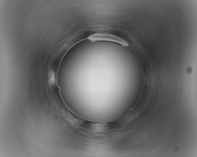 X0000113580089200910021703