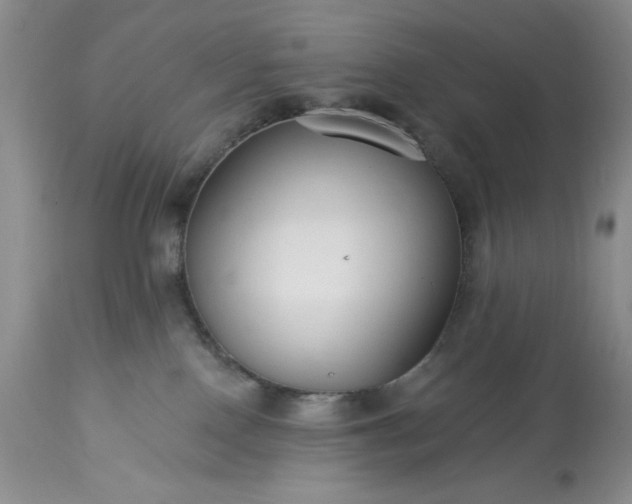 X0000113580090200910021703