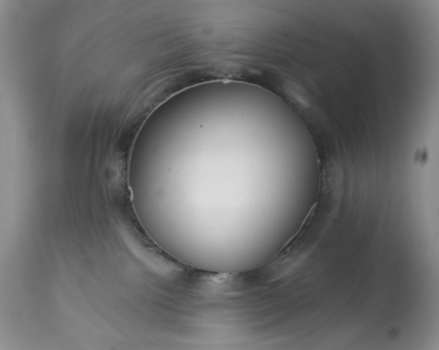 X0000113580092200910021703