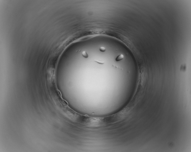 X0000113580093200910021703