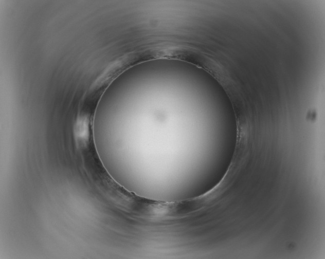 X0000113580094200910021703