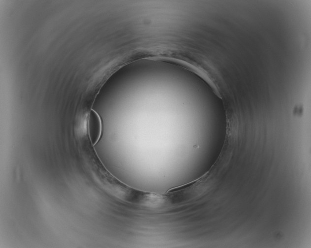 X0000113580095200910021703