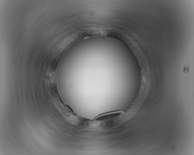 X0000113580096200910021703