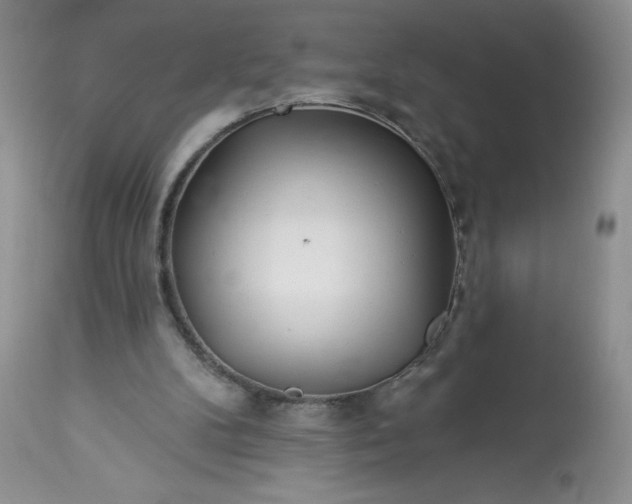 X0000113580104200910021702