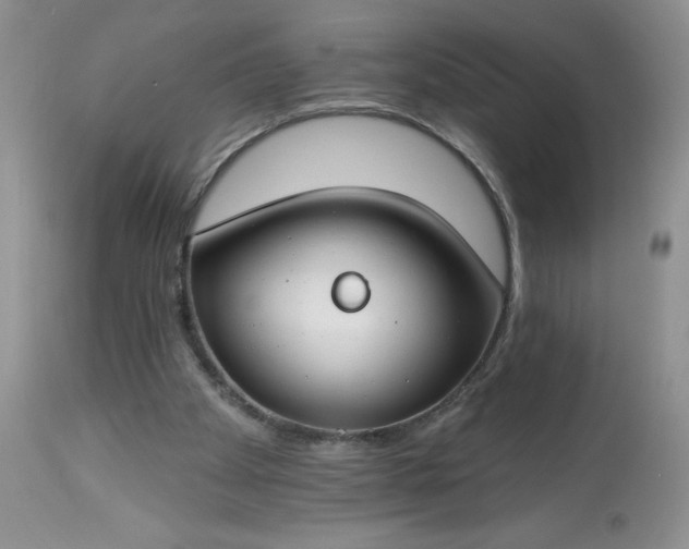 X0000113580105200910021702