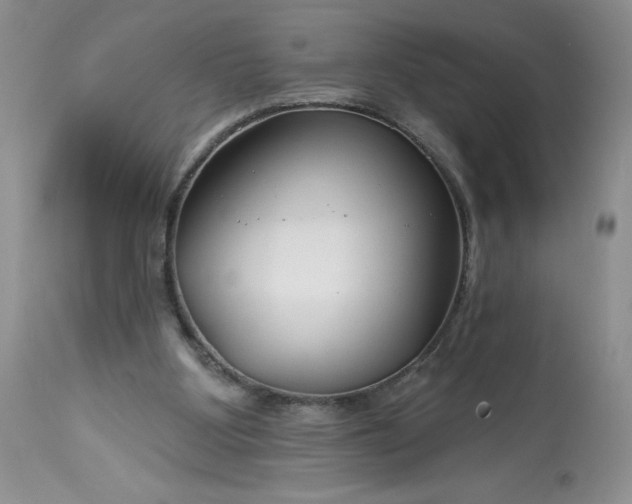 X0000113580107200910021702