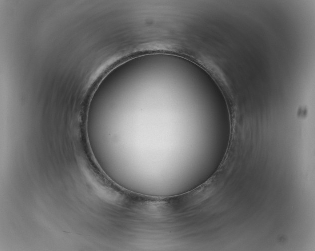 X0000113580108200910021702