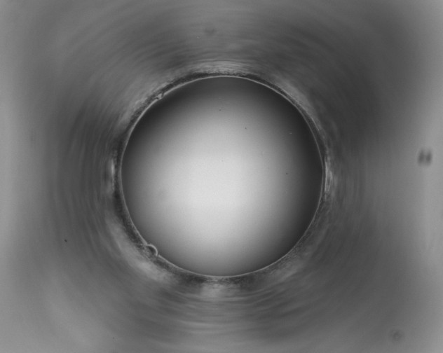 X0000113580109200910021702