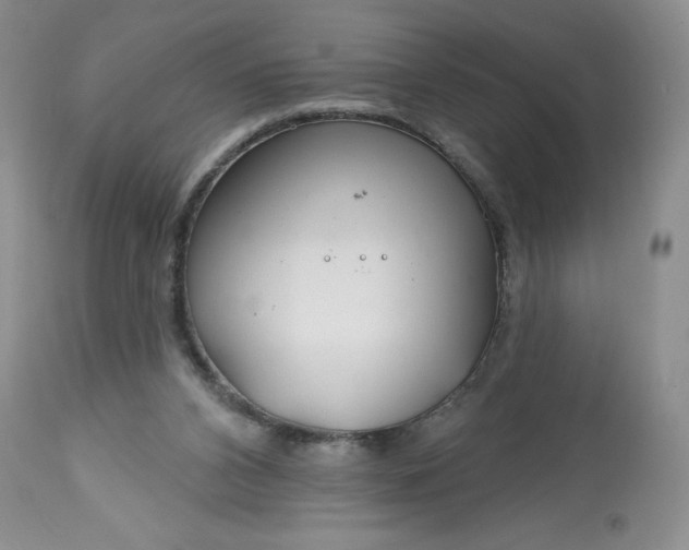 X0000113580112200910021702