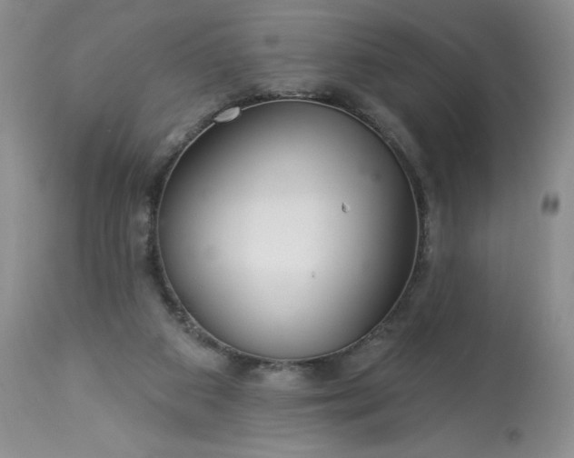 X0000113580113200910021702