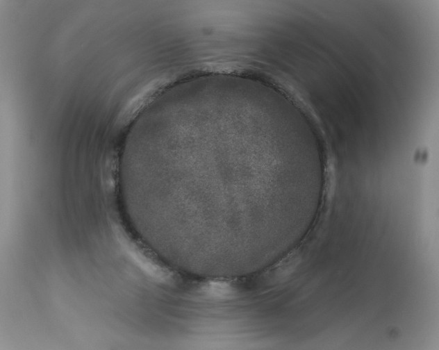 X0000113580114200910021702