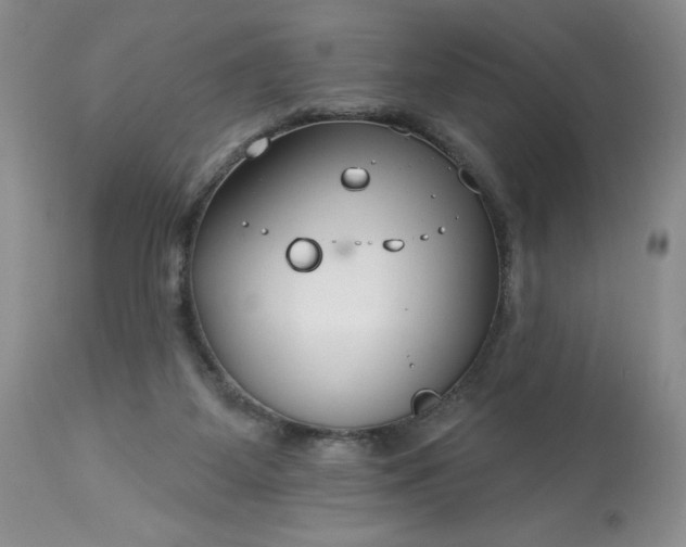 X0000113580115200910021702