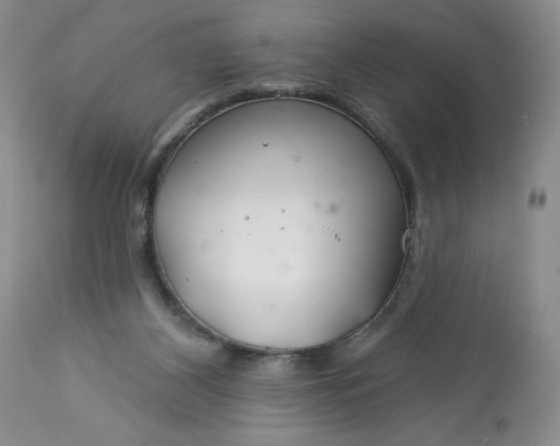 X0000113580116200910021702