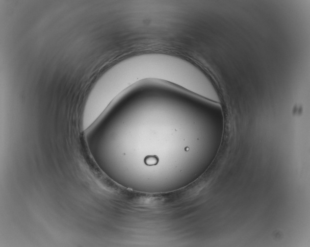 X0000113580117200910021702