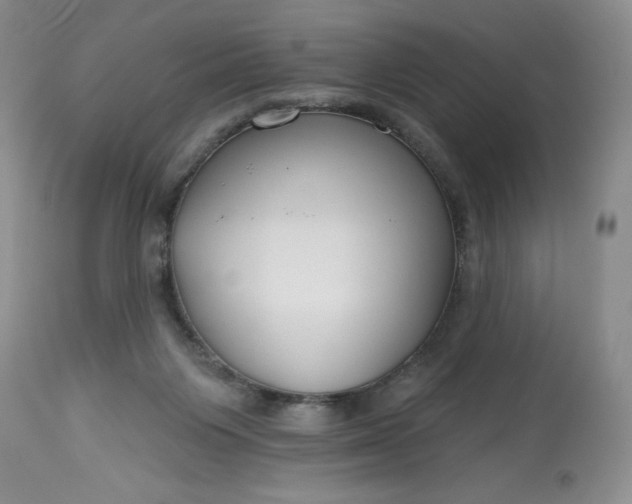 X0000113580119200910021702