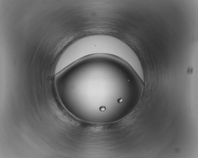 X0000113580120200910021702