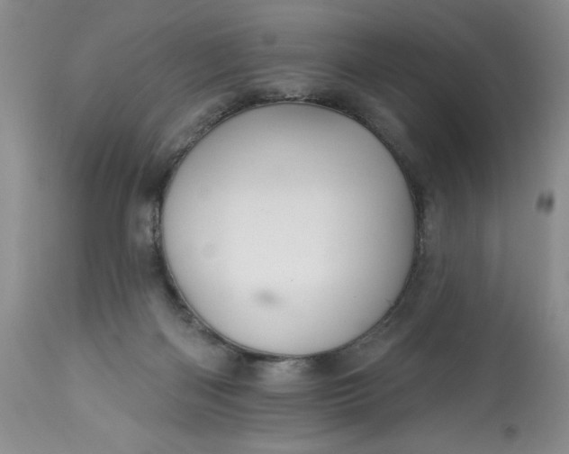 X0000113580122200910021702