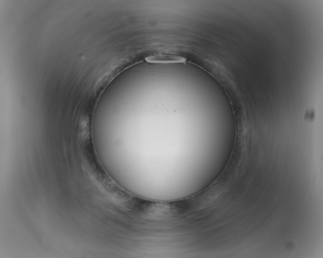 X0000113580123200910021702