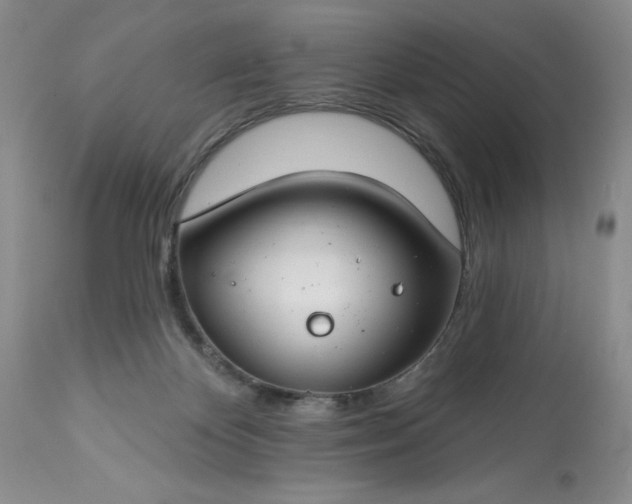 X0000113580124200910021702