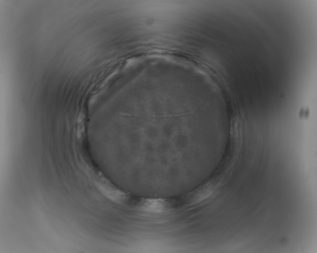 X0000113580127200910021702