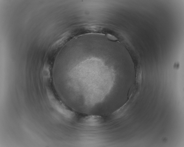 X0000113580128200910021702