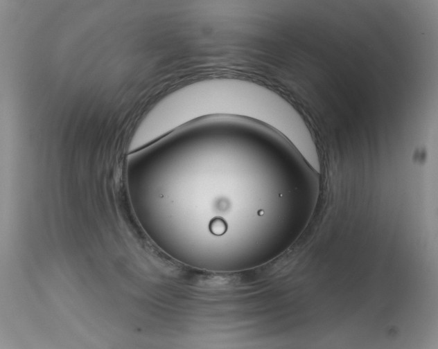 X0000113580129200910021702