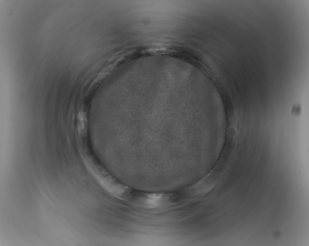 X0000113580130200910021702