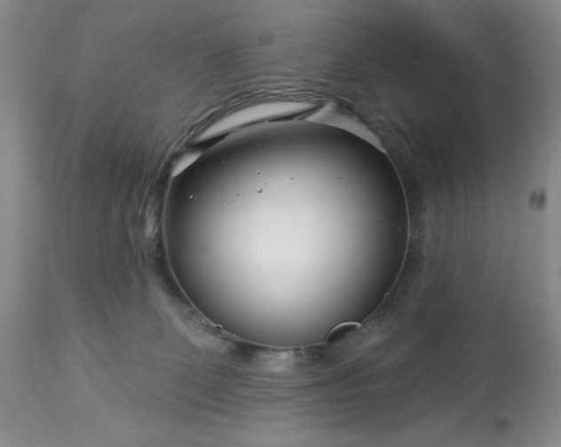 X0000113580131200910021702