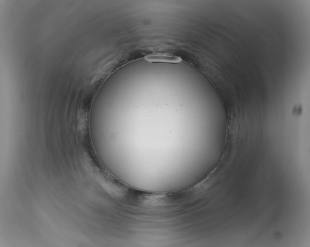 X0000113580132200910021702