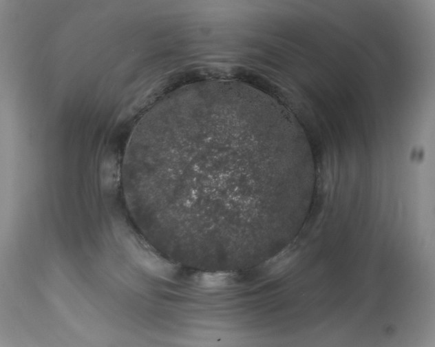 X0000113580134200910021702