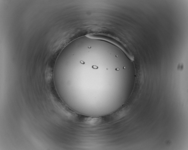 X0000113580135200910021702