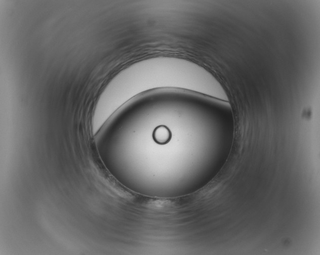 X0000113580137200910021702