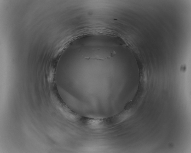 X0000113580139200910021702