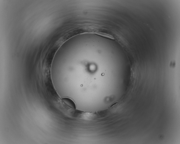 X0000113580141200910021702