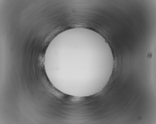 X0000113580142200910021702