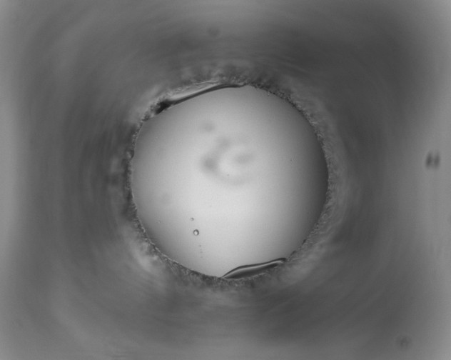 X0000113580144200910021702