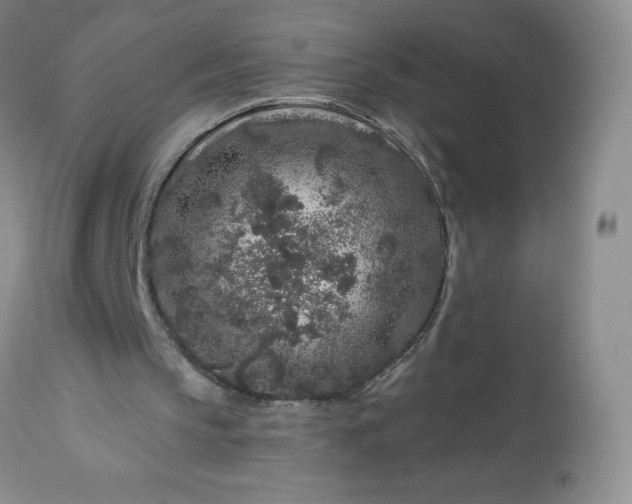 X0000113580145200910021701