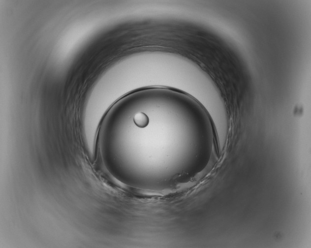 X0000113580146200910021701