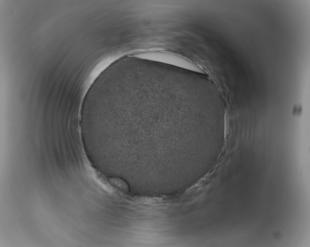 X0000113580147200910021701