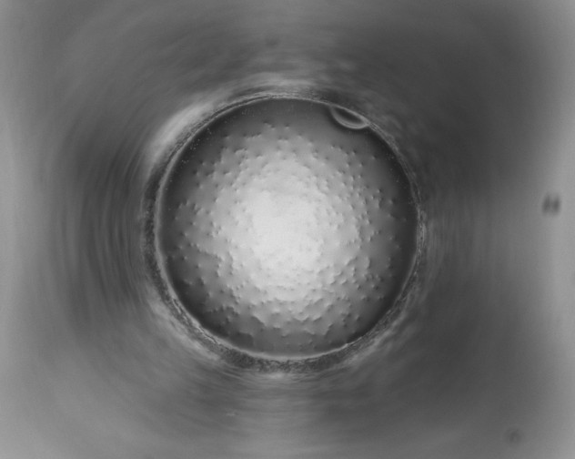 X0000113580149200910021701