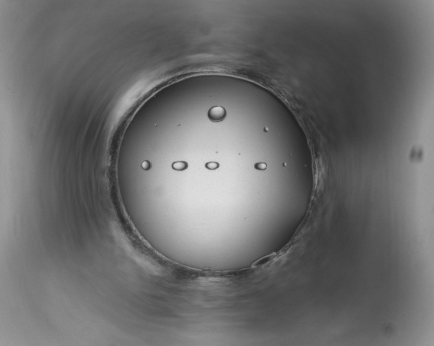 X0000113580150200910021701