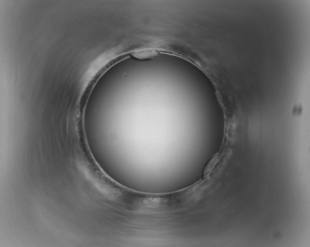 X0000113580152200910021701