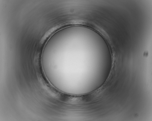 X0000113580155200910021701