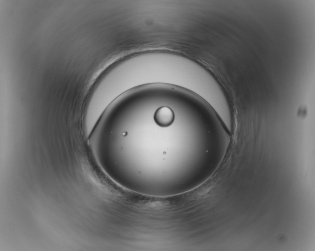 X0000113580156200910021701