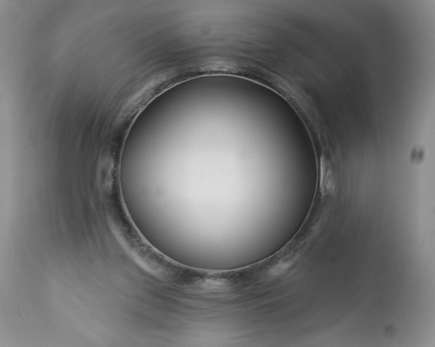 X0000113580157200910021701