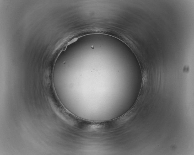 X0000113580158200910021701