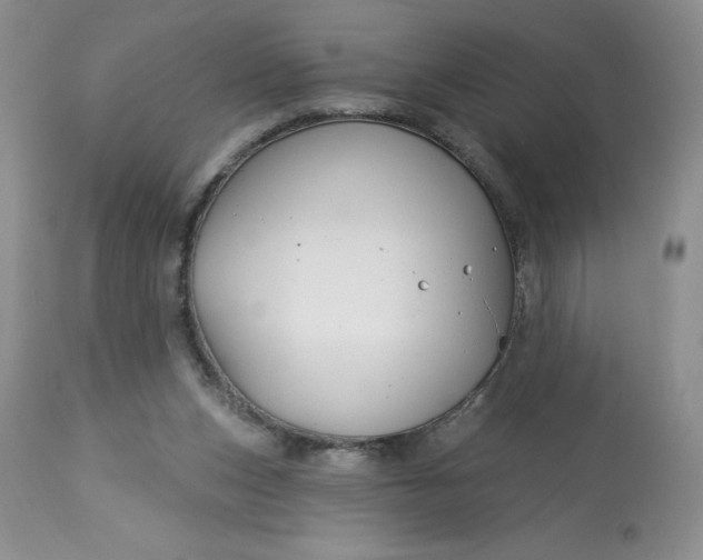 X0000113580159200910021701