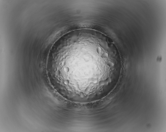 X0000113580161200910021701