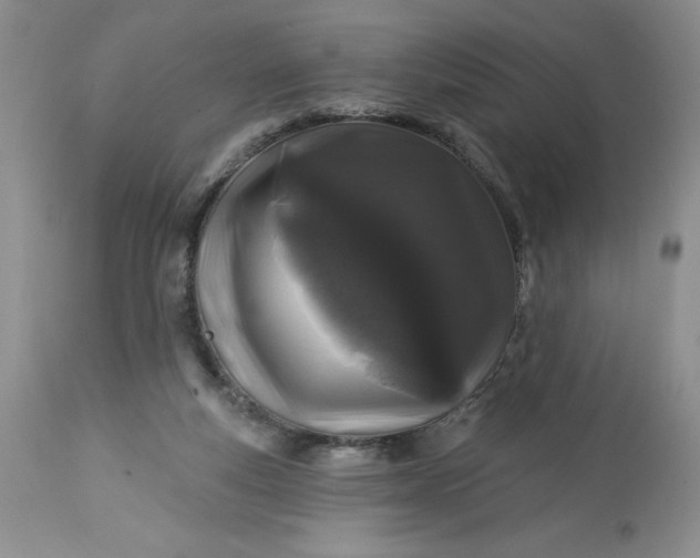 X0000113580163200910021701